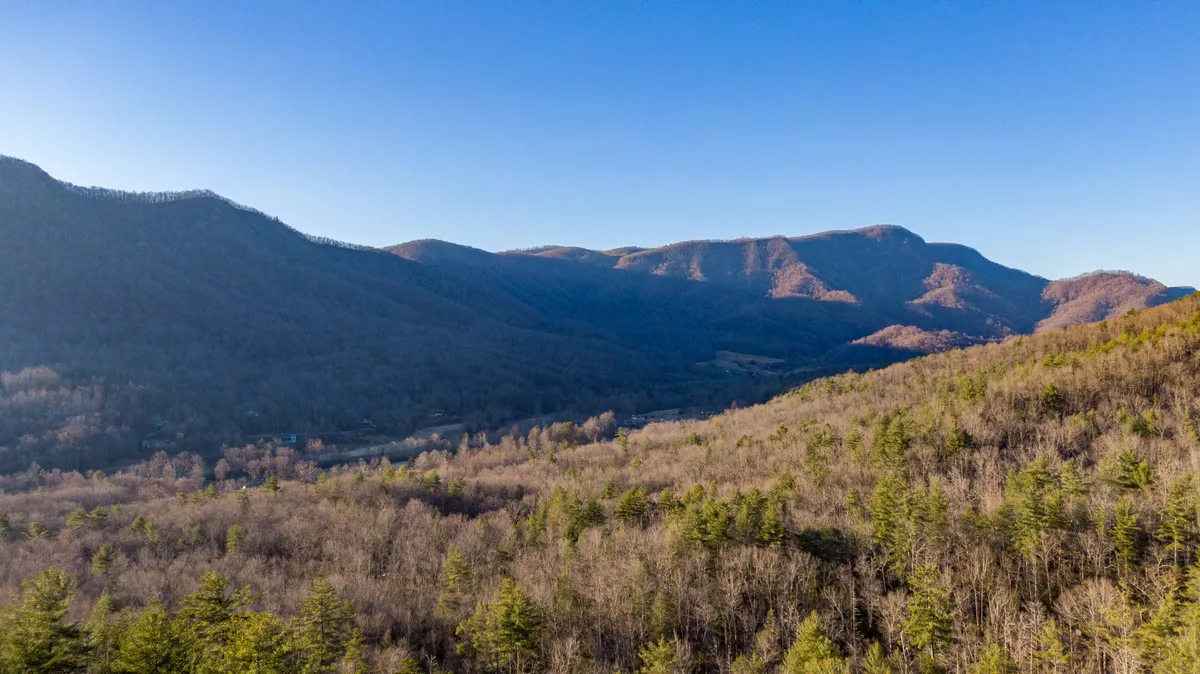 A panoramic view of the mountain range and lush valley, with dense forest beneath a clear blue sky. The image evokes the sense of adventure and natural beauty accessible in the Pisgah National Forest, suggesting opportunities for hiking, sightseeing, and wildlife observation.